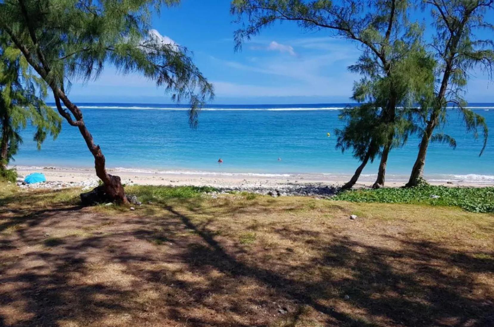 Le Tamarin Bleu - Studio A 300 M De La Plage 拉萨尔勒班 外观 照片